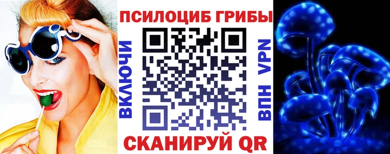 Галлюциногенные грибы GOLDEN TEACHER наркотики Верхний Тагил